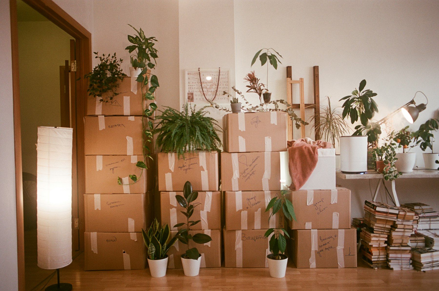 Moving boxes stacked in a bright home